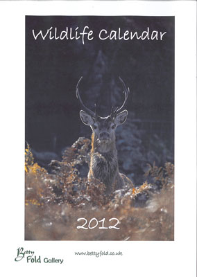 Wildlife Calendars from Betty Fold Gallery